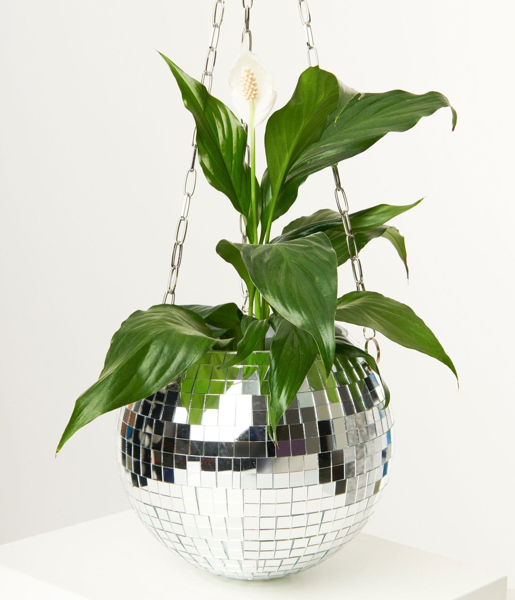 

8 Inch Disco Ball Hanging Planter