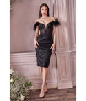 V-neck Corset Waistline Off the Shoulder Sheer Slit Above the Knee Sheath Plunging Neck Sheath Dress/Homecoming Dress