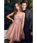 A-line Scoop Neck Open-Back Back Zipper Beaded Glittering Tulle Short Homecoming Dress