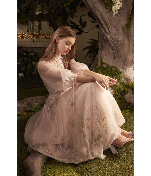 Sophisticated A-line Short Tea Length Collared Floral Print Sheer Back Illusion Embroidered Beaded Sheer Elasticized Corset Waistline Homecoming Dress