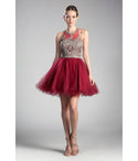 Sophisticated Ballerina Sleeveless Short Back Zipper Open-Back Illusion Applique Cutout Beaded Homecoming Dress