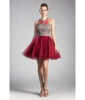 Sophisticated Open-Back Back Zipper Illusion Beaded Applique Cutout Short Ballerina Sleeveless Homecoming Dress