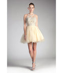 Sophisticated Sleeveless Short Ballerina Illusion Beaded Cutout Open-Back Applique Back Zipper Homecoming Dress