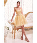 A-line Pleated Applique Open-Back Tiered Wrap Sleeveless Cocktail Short Tulle Floral Print Scoop Neck Dress