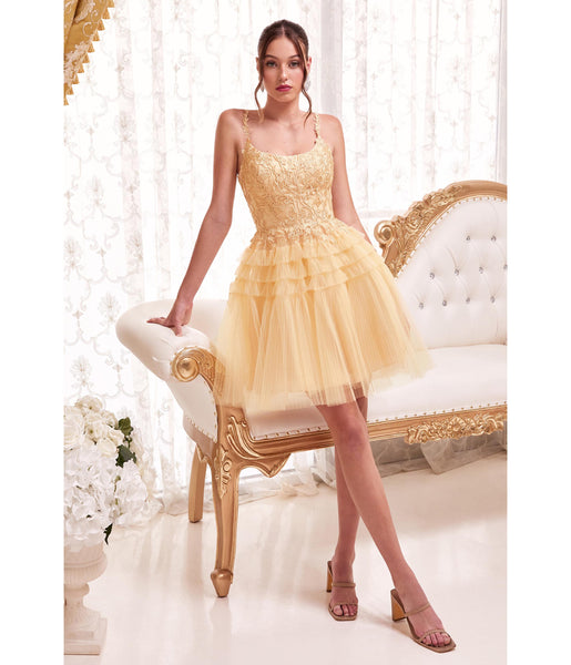 A-line Tulle Scoop Neck Applique Tiered Open-Back Wrap Pleated Cocktail Short Sleeveless Floral Print Dress