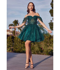 Sophisticated A-line Tulle Flutter Sleeves Off the Shoulder Short Open-Back Draped Glittering Sheer Basque Corset Waistline Dress