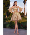 A-line Floral Print Glittering Sheer Applique Short Sweetheart Corset Waistline Puff Sleeves Sleeves Homecoming Dress