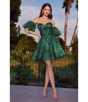 A-line Short Glittering Applique Sheer Floral Print Sweetheart Corset Waistline Puff Sleeves Sleeves Homecoming Dress