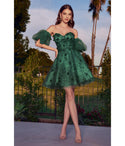 A-line Puff Sleeves Sleeves Corset Waistline Floral Print Sweetheart Sheer Glittering Applique Short Homecoming Dress