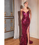 V-neck Sleeveless Spaghetti Strap Sheath Plunging Neck Sequined Fitted Sheath Dress/Evening Dress