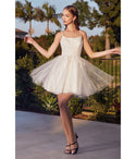 A-line Tulle Back Zipper Beaded Open-Back Glittering Scoop Neck Short Homecoming Dress