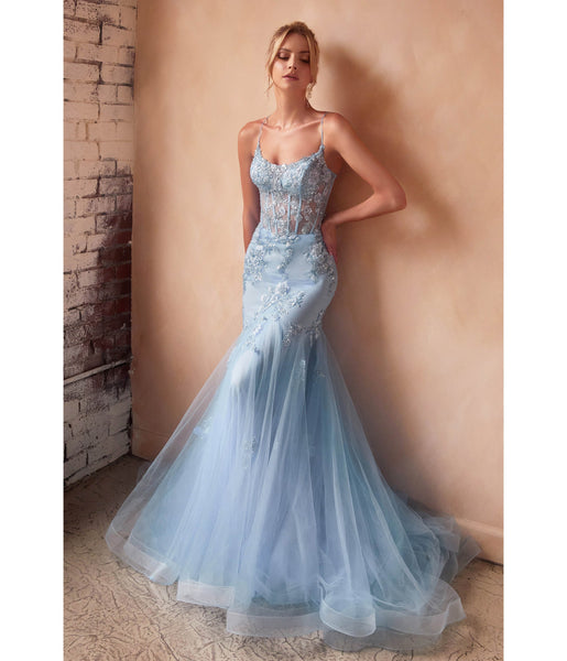 Illusion Lace-Up Applique Open-Back Beaded Spaghetti Strap Scoop Neck Corset Waistline Mermaid Floral Print Tulle Dress with a Brush/Sweep Train