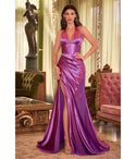 V-neck Mermaid Halter Plunging Neck Slit Pleated Backless Sleeveless Satin Corset Waistline Evening Dress with a Brush/Sweep Train