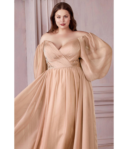 Plus Size Long Sleeves Sheer Goddess Floor Length Chiffon Sweetheart Bridesmaid Dress