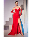 Sophisticated Fitted Sheer Open-Back Illusion Back Zipper Cutout Slit Scoop Neck Mermaid Floor Length Evening Dress with a Brush/Sweep Train