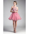 Sophisticated Ballerina Sleeveless Illusion Open-Back Applique Beaded Cutout Back Zipper Short Homecoming Dress