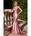 V-neck Plunging Neck Sleeveless Glittering Ruched Mermaid Satin Dress with a Brush/Sweep Train