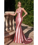 V-neck Mermaid Satin Plunging Neck Sleeveless Glittering Ruched Dress with a Brush/Sweep Train