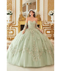 Sophisticated A-line Strapless Tulle Lace-Up Hidden Back Zipper Applique Two-Toned Floral Print Sweetheart Ball Gown Dress