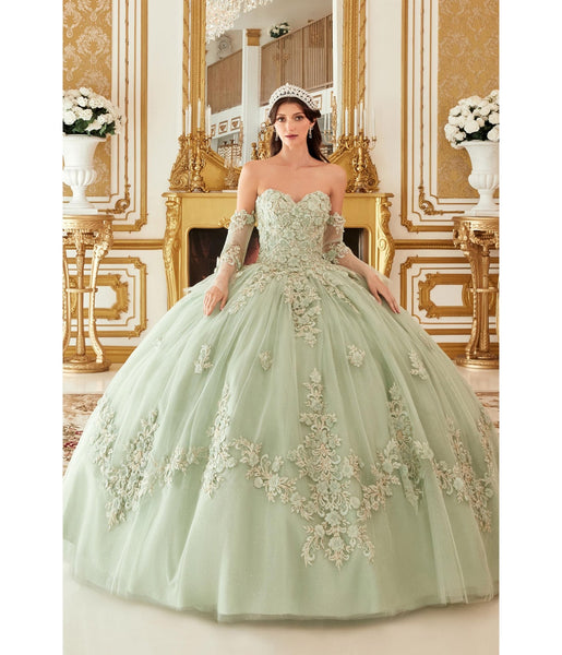 Sophisticated A-line Strapless Sweetheart Tulle Hidden Back Zipper Applique Lace-Up Two-Toned Floral Print Ball Gown Dress