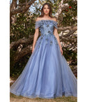 Tulle Off the Shoulder Sweetheart Floral Print Glittering Applique Ball Gown Prom Dress