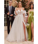 Sophisticated A-line V-neck Plunging Neck Long Sleeves Tulle Striped Floral Print Sequined Ball Gown Wedding Dress