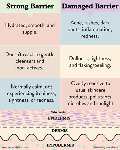 Skin barrier infographic