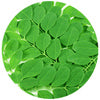 Moringa oil