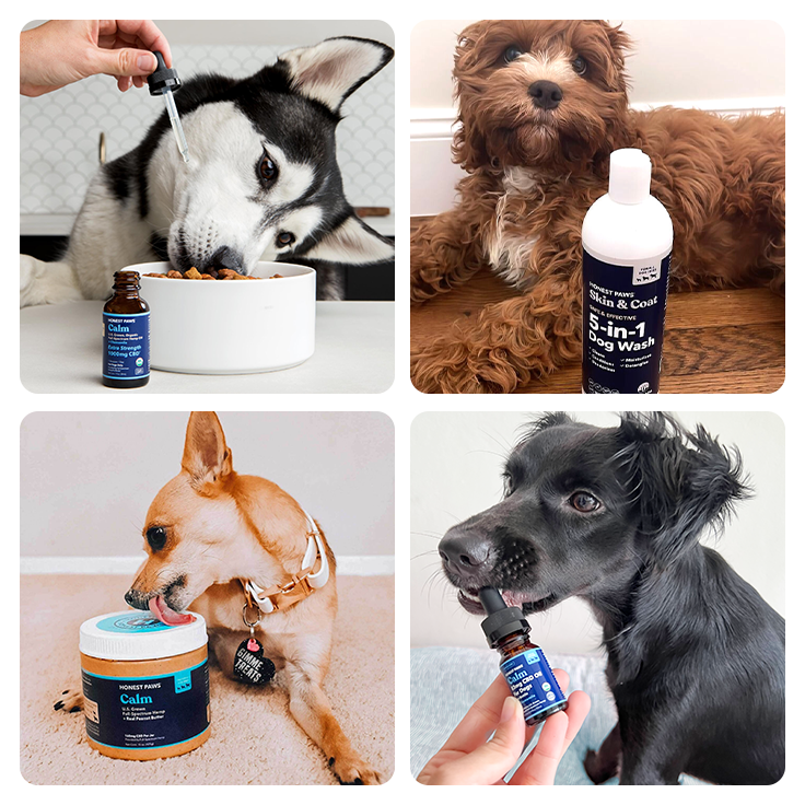 Four images showing dogs with different pet care products.