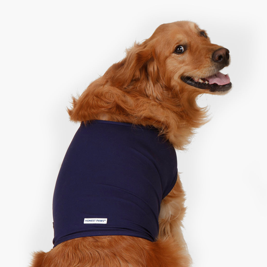 Honest Paws Calm Vest for Dogs