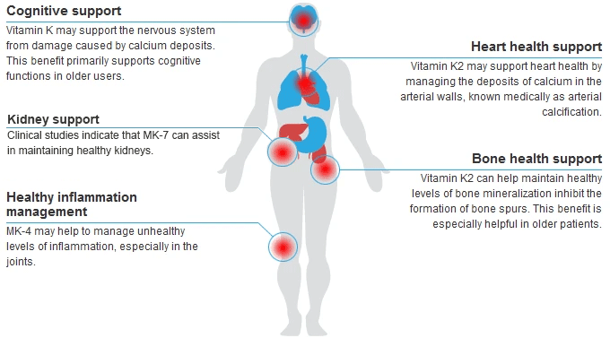 Vitamin K2 Mk 7