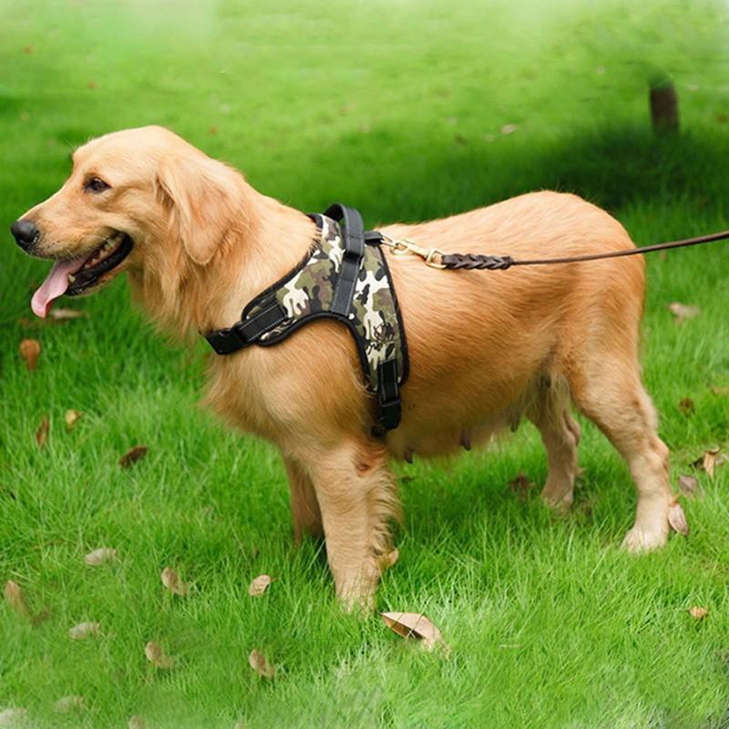 team k9 dog harness