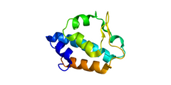 bright body science of aging misfolded proteins