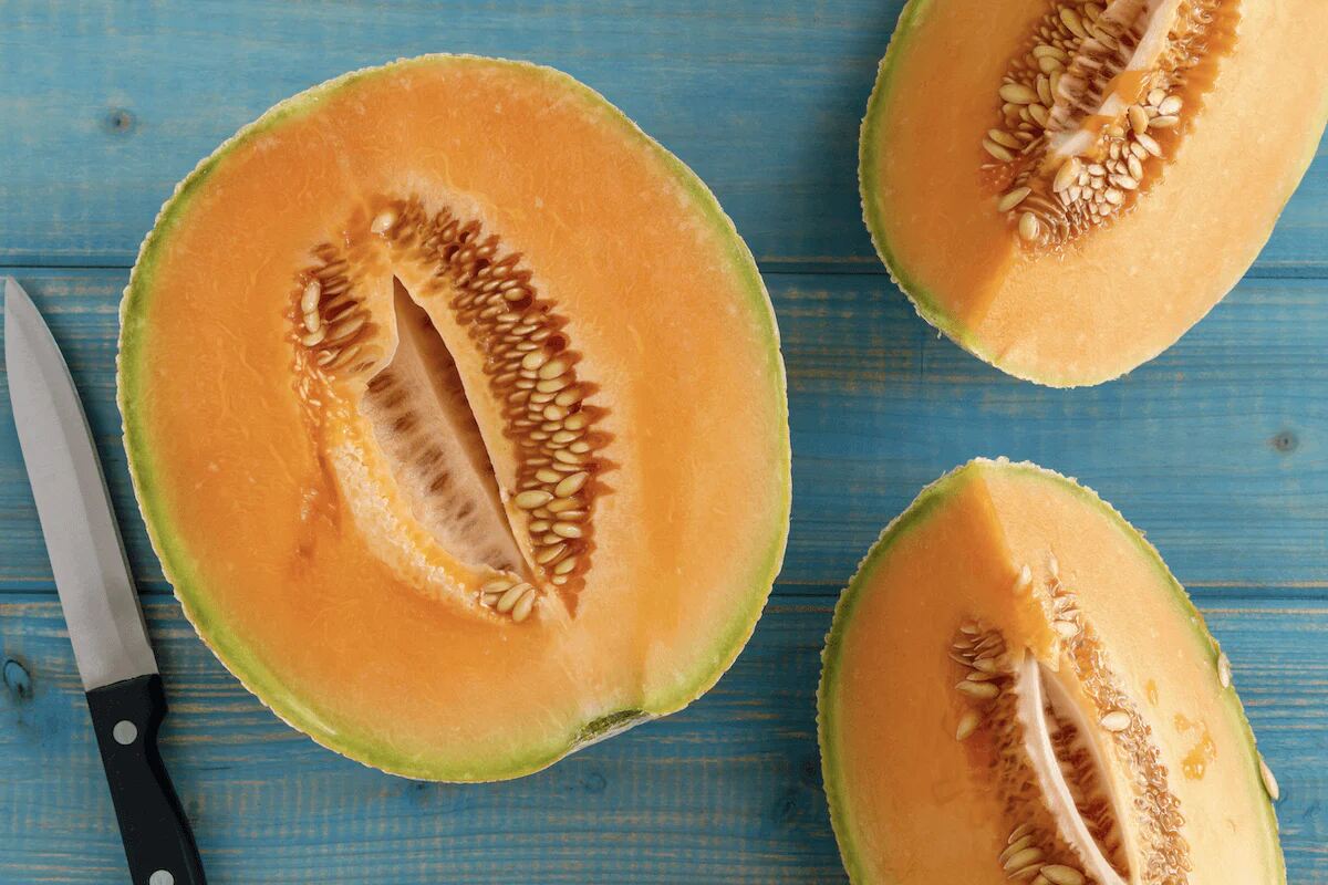 is cantaloupe safe for dogs