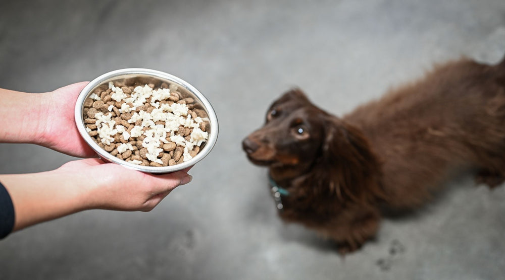 is too much brown rice bad for dogs