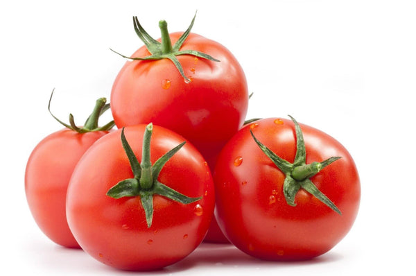 Can Dogs Eat Tomatoes? Pros and Cons of Feeding This Fruit - The Native Pet