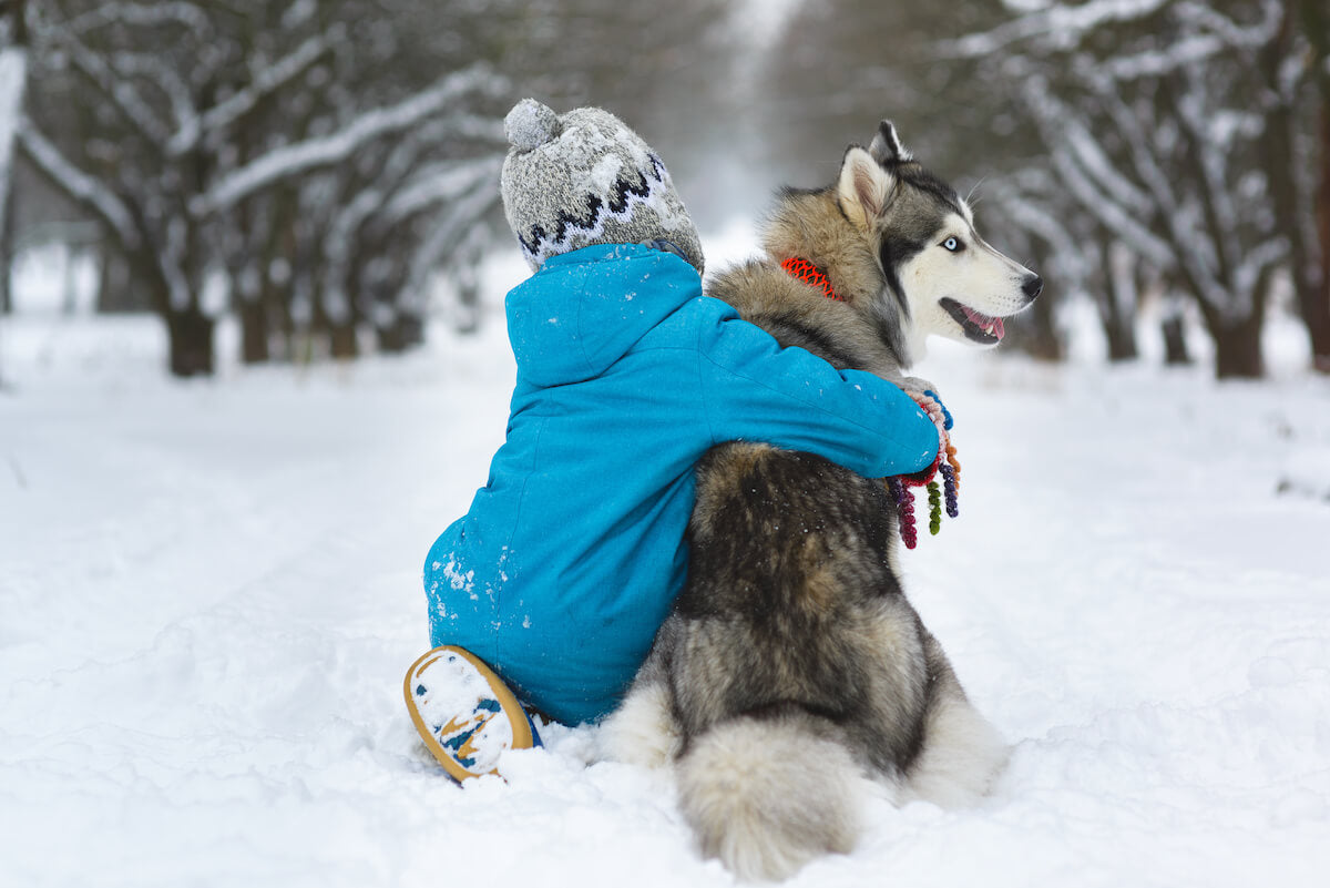 does the alaskan husky love children