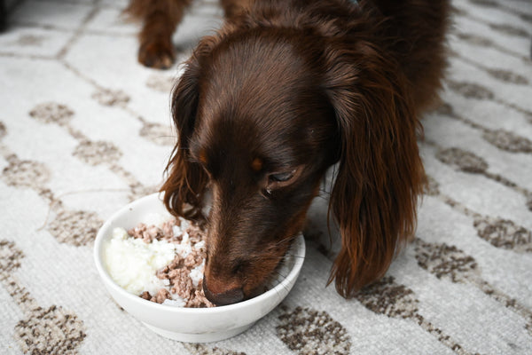 bland diet combinations