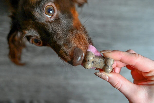 Banana and Blueberry Pupsicles  Frozen Dog Treats - The Produce Moms