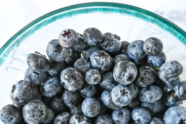 are frozen blueberries good for dogs