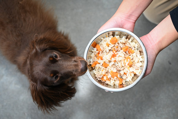 Can Dogs Eat Brown Rice? White Or Brown Rice - Which Is Better? – The  Native Pet