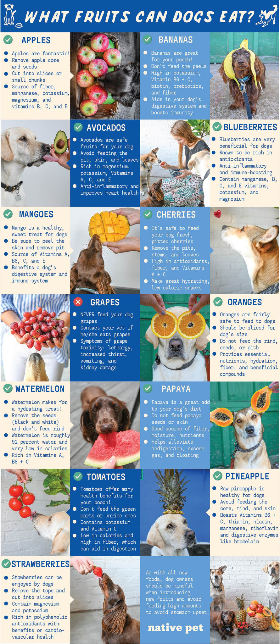 What Fruits Can Dogs Eat The Native Pet