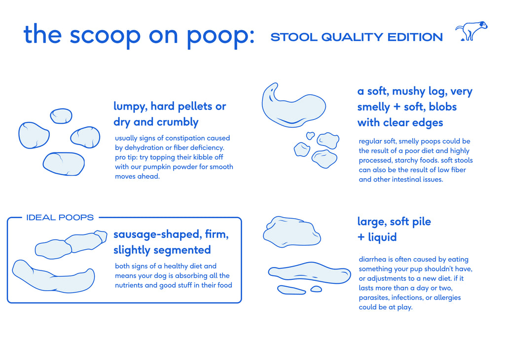 Dog Poop Quality Chart