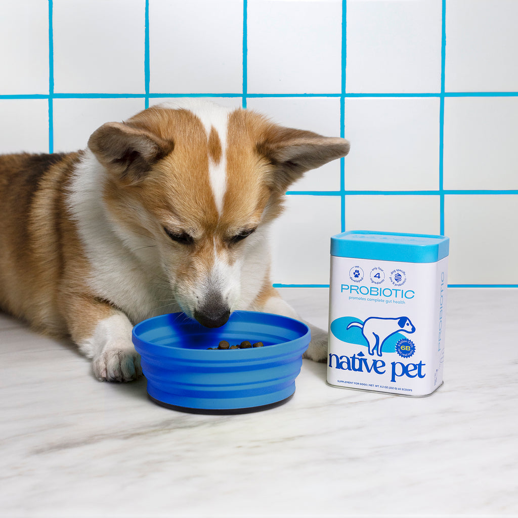 Native Pet Probiotic Powder