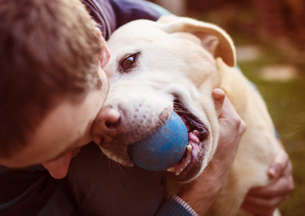 Person hugging a dog with a ball in his mouth