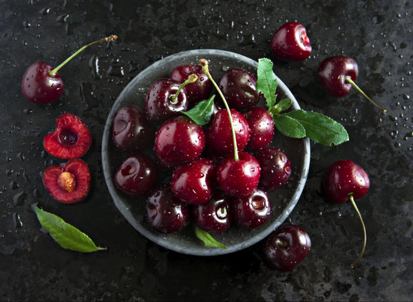 Can Dogs Eat Cherries How To Safely Feed Your Dog This Treat The Native Pet