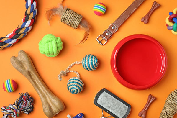 A flatlay featuring various dog essentials.