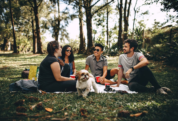 A group of friends enjoys a picnic in the grass with a dog