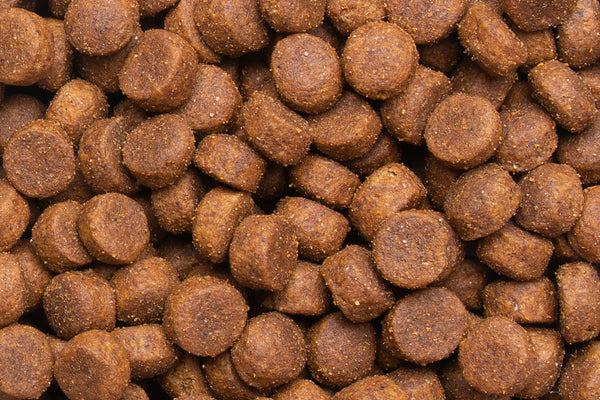 Dry kibble dog food