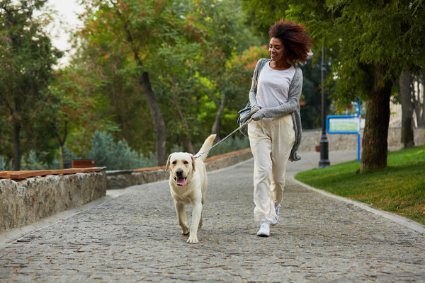 woman walking her dog in the park